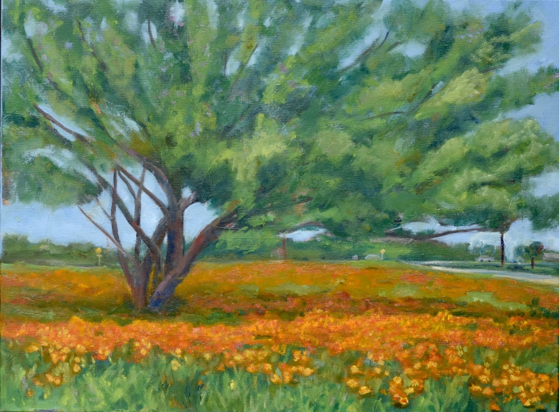 Indian Blanket by artist Tammy Brown
